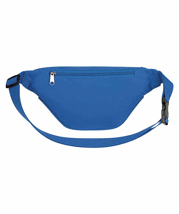 Fanny Pack with Organizer Pocket