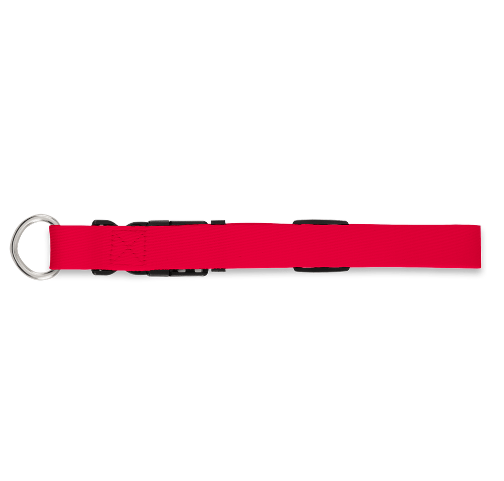 Full Color Adjustable Pet Collar, 1" Wide-default