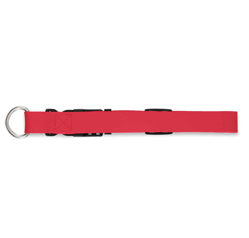 Full Color Adjustable Pet Collar, 1" Wide-default