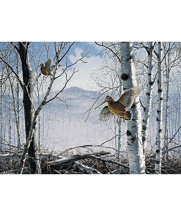 Maass Wildfowl Executive Wall Calendar