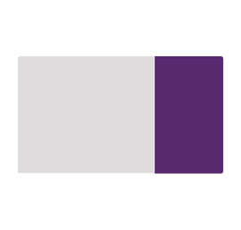 2" x 3.5" Horizontal Clear Plastic Business Cards - Color: Clear / Team Purple