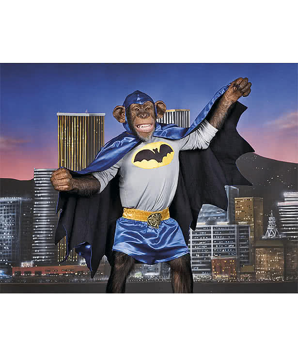 Monkey Business Calendar