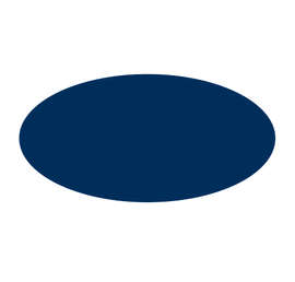 Full Color 1 in. x 2 in. Oval Roll Labels (500 per roll) - Color: Navy
