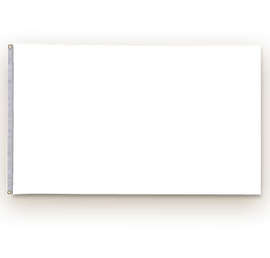 Full Color 3' x 5' Single Sided Nylon Flag - Color: White