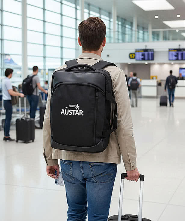 Frydek 17" Computer Briefcase Backpack