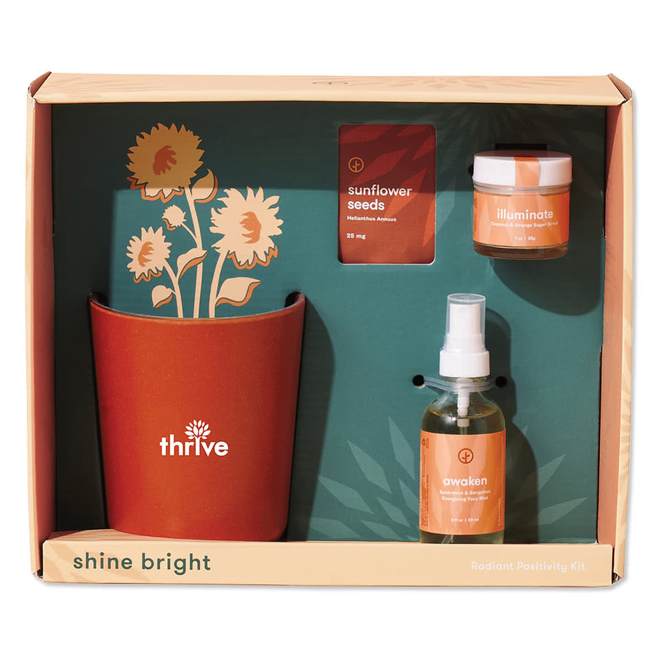 Modern Sprout Shine Bright Sunflower Take Care Kit