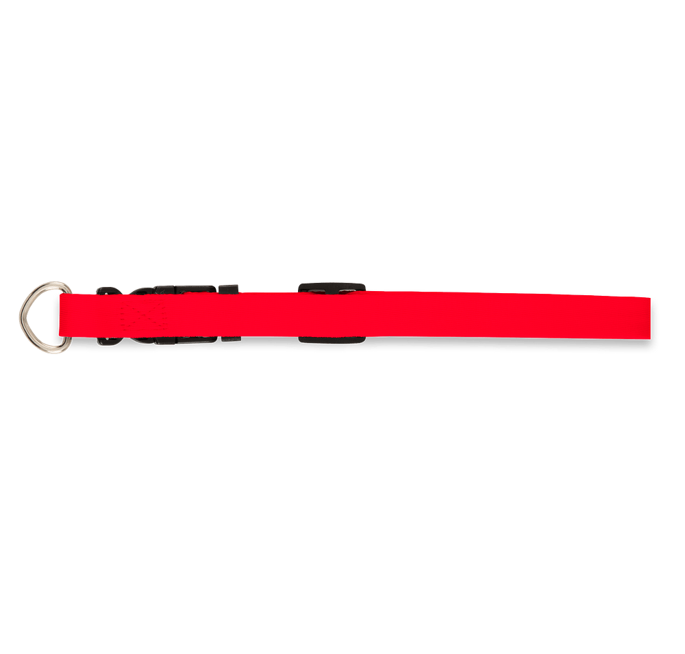 Full Color Adjustable Pet Collar, 3/4" Wide-default