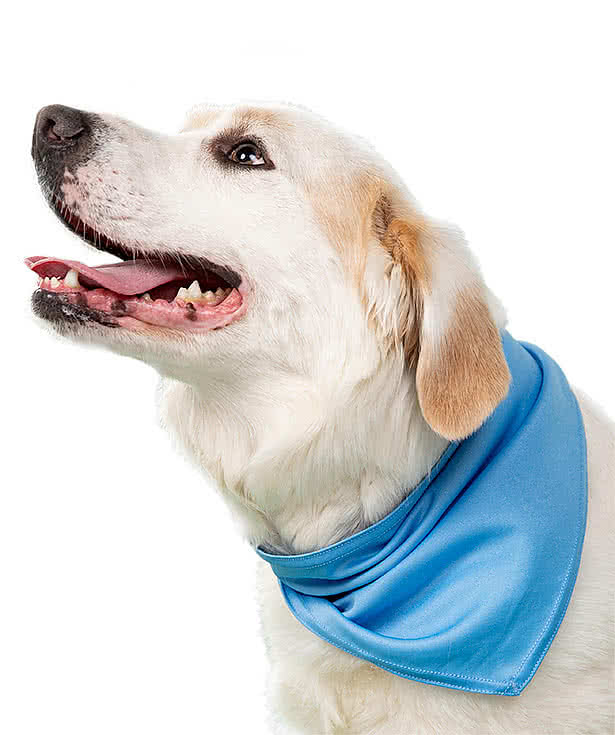 Customized Badger Performance Bandana
