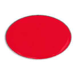Oval Lapel Pin - Color: Red / Silver