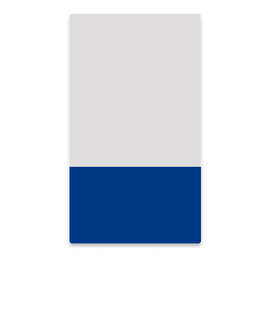 2" x 3.5" Vertical Clear Plastic Business Cards - Color: Clear / Royal