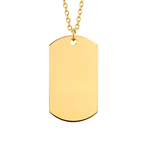 Laser Engraved Thin Chain Dog Tag Necklace in Gold