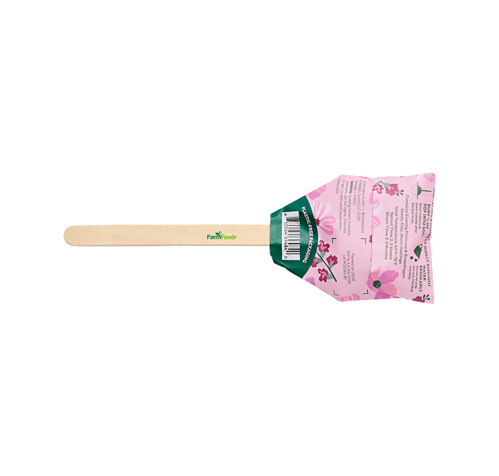 Modern Sprout Flower Seed Pop-default