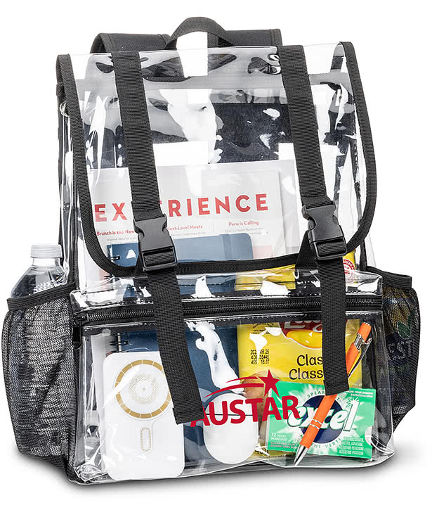 Sangster Clear Backpack