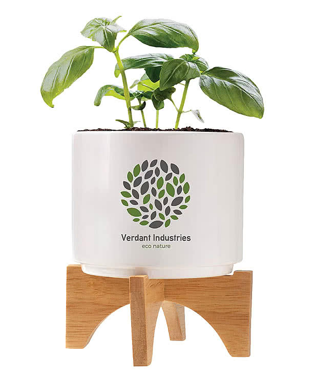 Ceramic Bamboo Planter Kit
