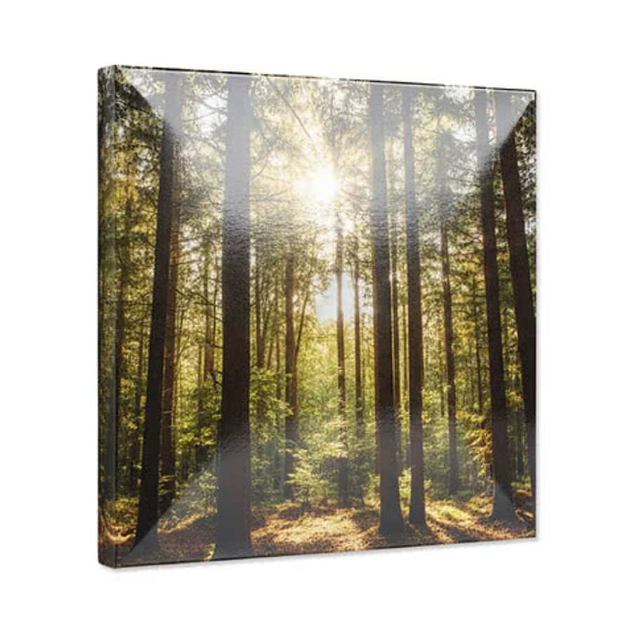 Full Color 12" x 12" Metallic Foam Wall Tile in Metallic Silver