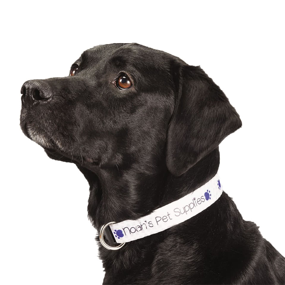 Full Color Adjustable Pet Collar, 1" Wide