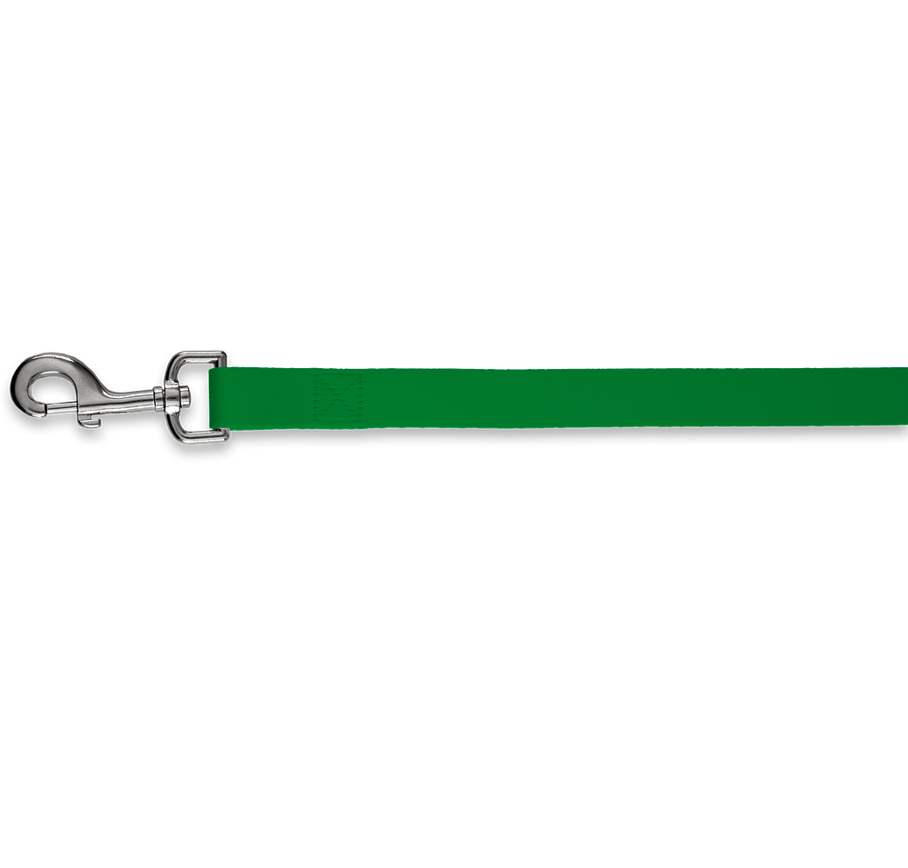 Full Color 5 ft. Premium Pet Leash, 1" Wide-default
