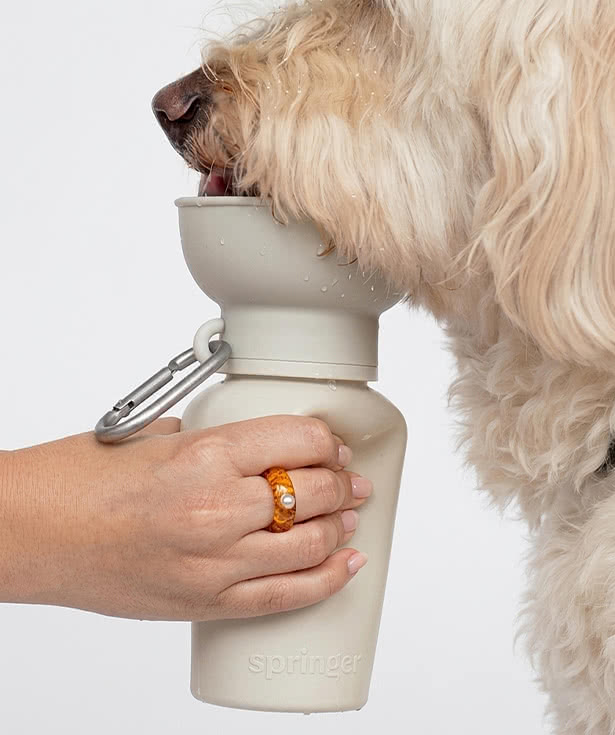 Springland Pet 20 oz. Flip Travel Water Bottle