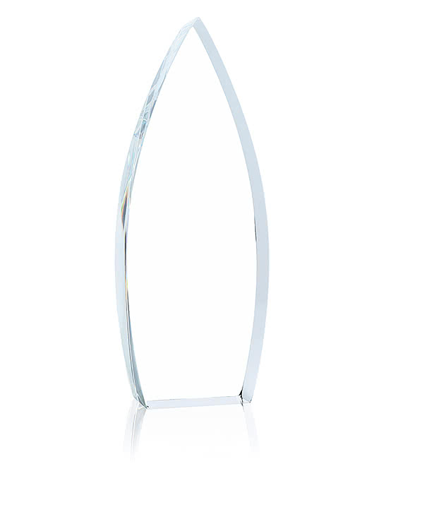 Laser Engraved Large Sky Bound Award