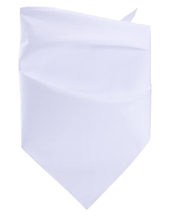 Dye-Sublimated Pet Bandana