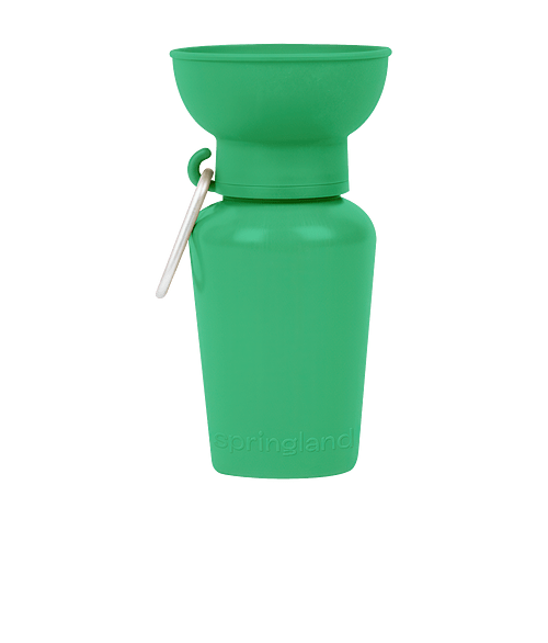 Springland Pet 20 oz. Flip Travel Water Bottle in Green