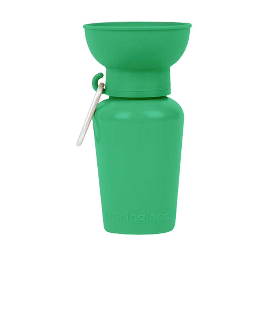 Springland Pet 20 oz. Flip Travel Water Bottle in Green