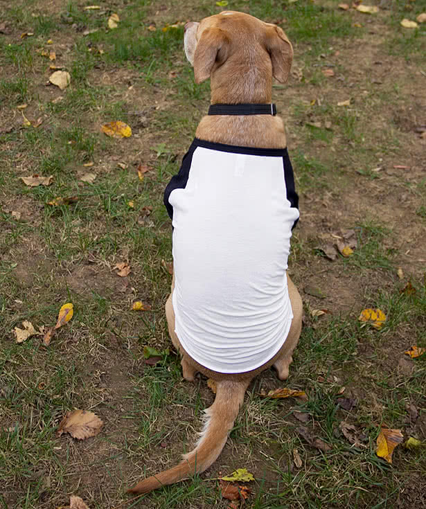 American Apparel Dog Raglan T-shirt