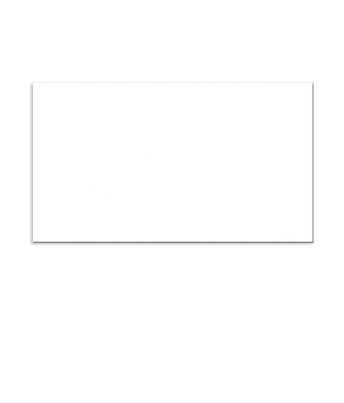 Full Color 20 Mil Business Card Magnet in White