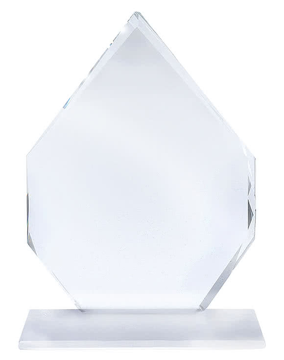 7" Arrowhead Award