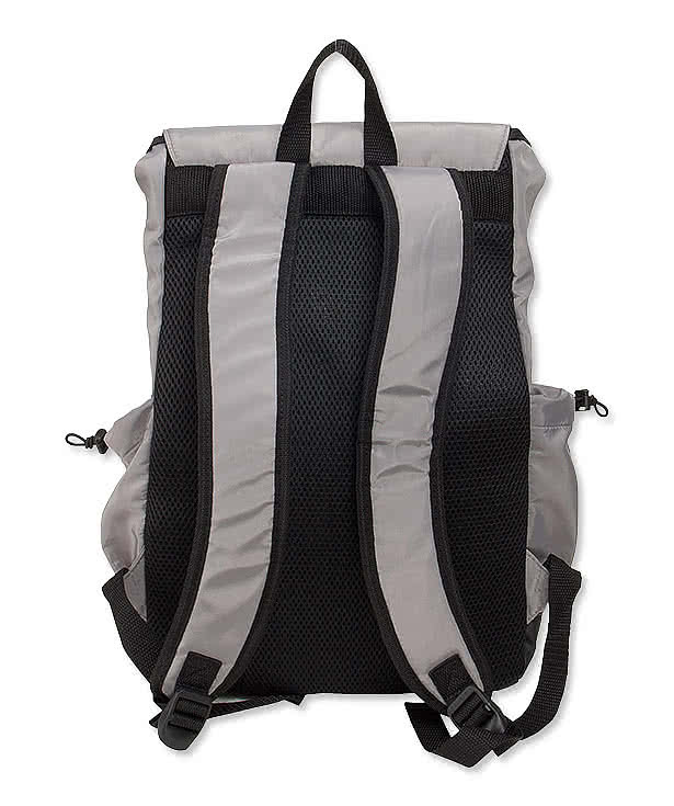 Quantum Urban 17" Computer Backpack