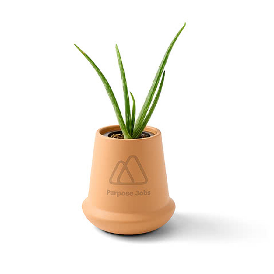Laser Engraved Modern Sprout Modern Terracotta Aloe Grow Kit in Terracotta