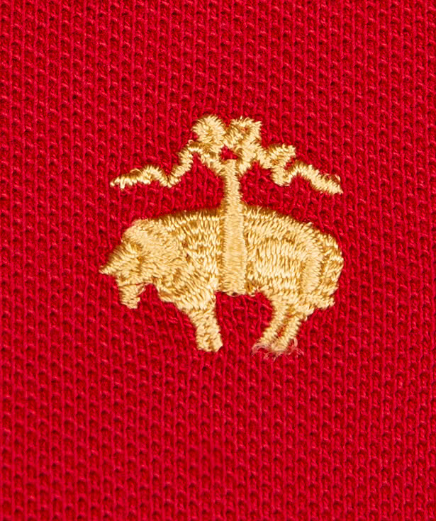 Brooks Brothers Pique Polo