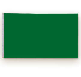 Full Color 3' x 5' Single Sided Nylon Flag - Color: Kelly Green