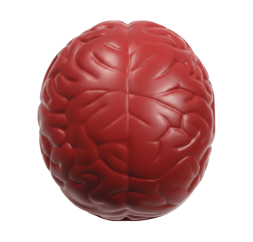 Brain Stress Reliever-default