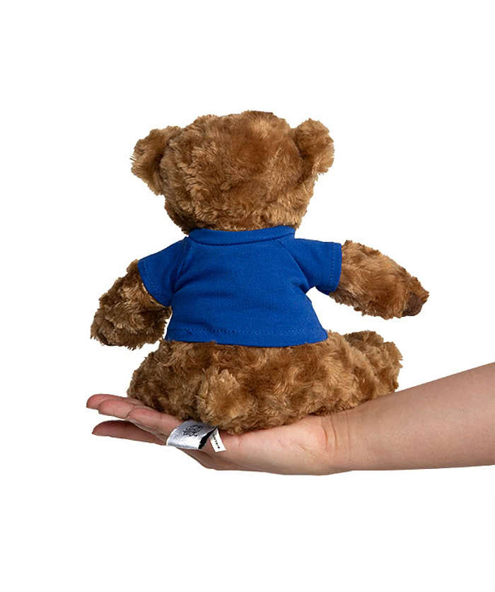 10" Traditional Brown Bear