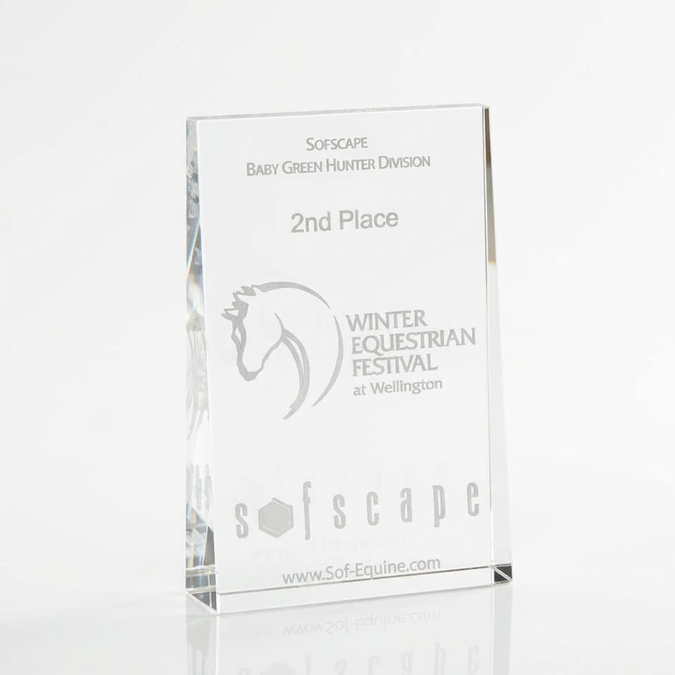 3D  Wedge Small Award