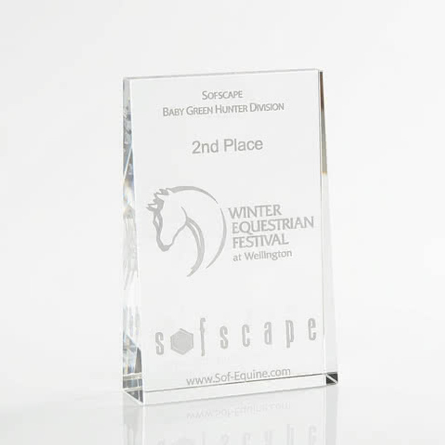3D  Wedge Small Award in Clear