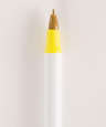 BIC Round Stic Pen (black ink)