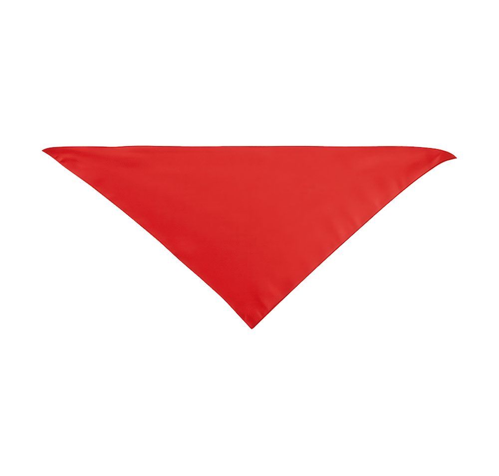 Large Triangle Recycled Pet Bandana-default
