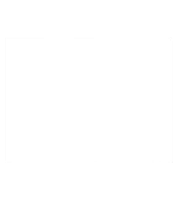 3 in. x 4 in. Rectangle Magnet 