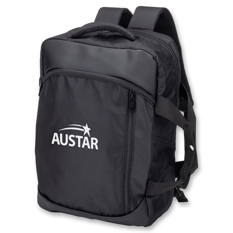Frydek 17" Computer Briefcase Backpack