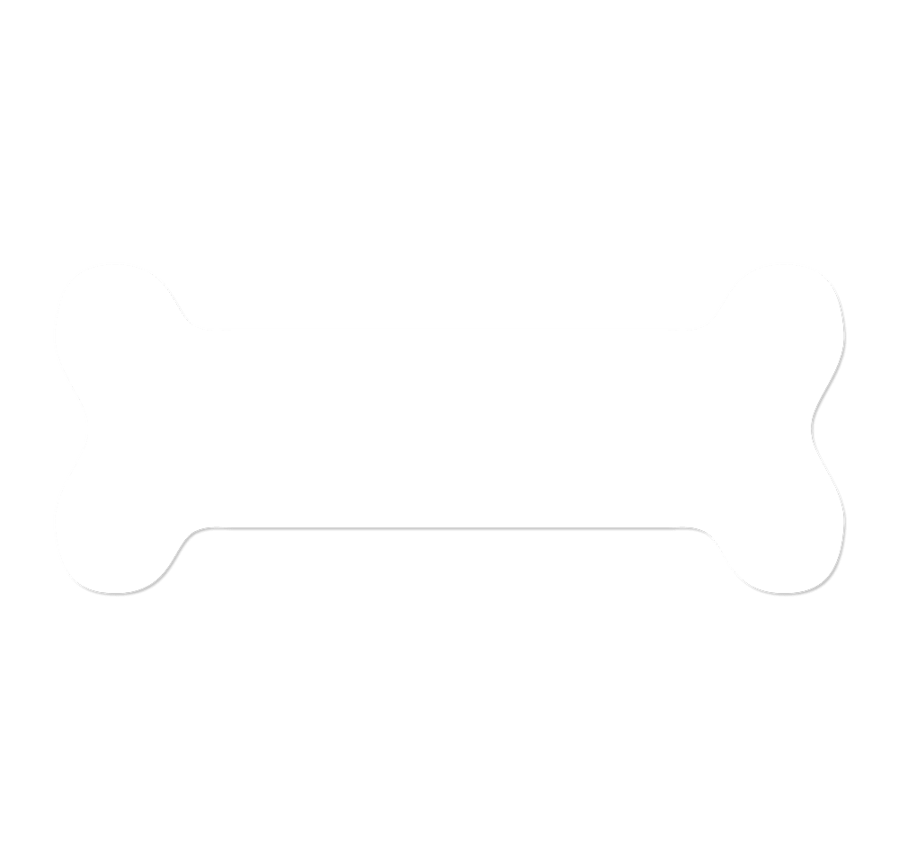 Full Color Bone Refrigerator Magnet - .036"-default
