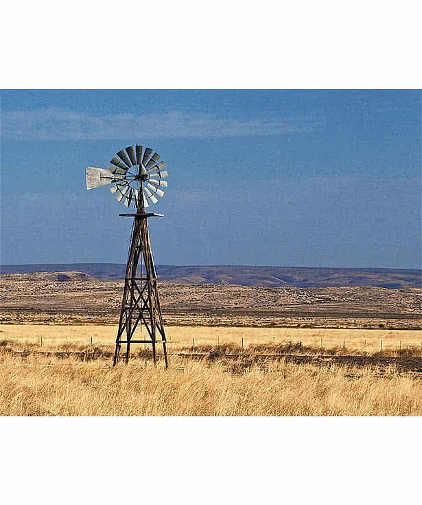Full Color Texas Spiral Wall Calendar