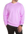 Comfort Colors Lightweight Crewneck Sweatshirt