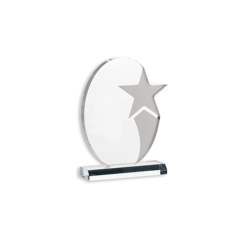 Laser Engraved Stellar Award-default