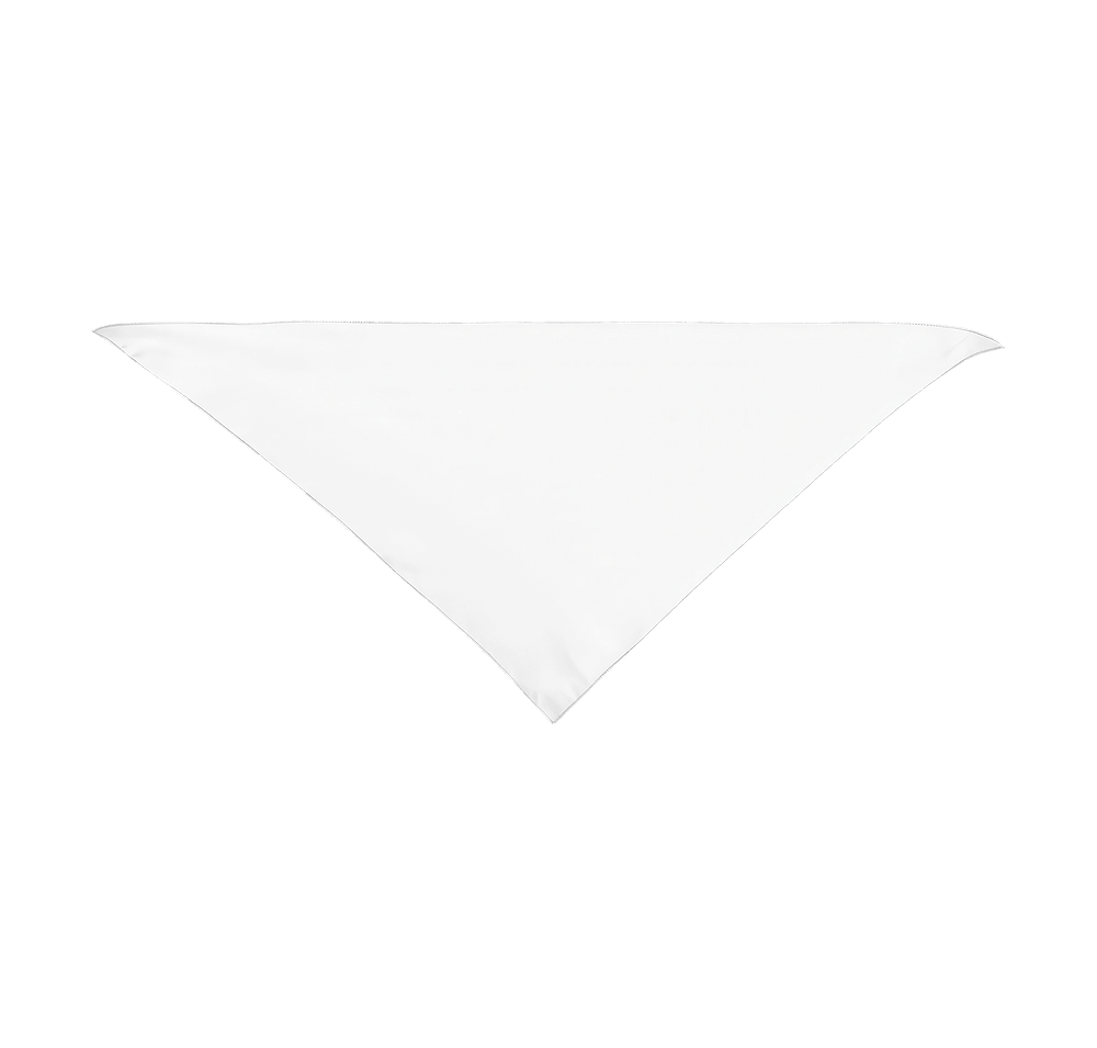 Large Triangle Recycled Pet Bandana-default