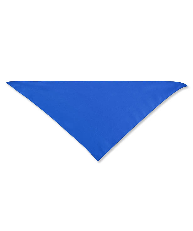 Large Triangle Recycled Pet Bandana