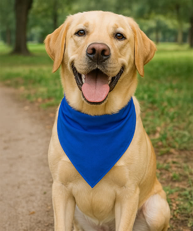 Large Triangle Recycled Pet Bandana
