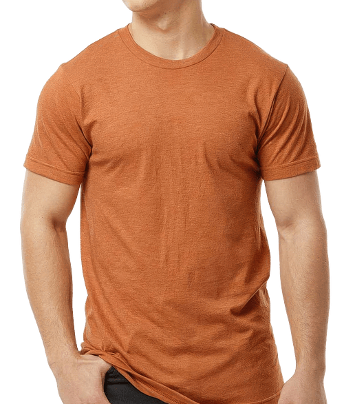 Tultex Fine Jersey Crewneck T-shirt in Heather Rust