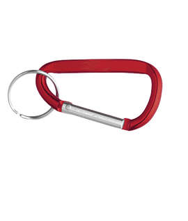 Laser Engraved Small Carabiner Keychain - Color: Red